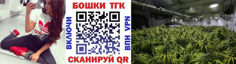 Купить закладку A-PVP  МЕФ  NBOMe  Гашиш  Марихуана  Cocaine  Киреевск