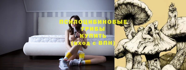 a pvp Елабуга
