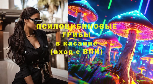 марки lsd Ельня