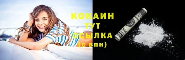 прущие грибы Дмитровск