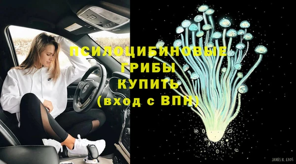 первитин Дмитриев