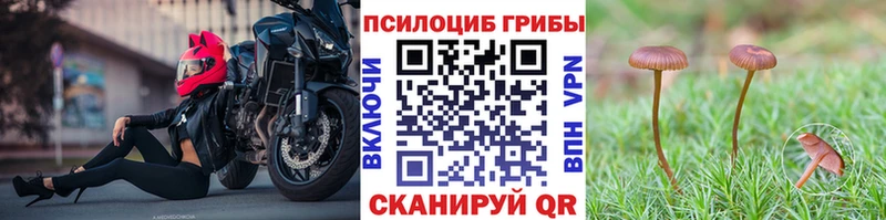 Купить где  Киреевск  Галлюциногенные грибы мухоморы 